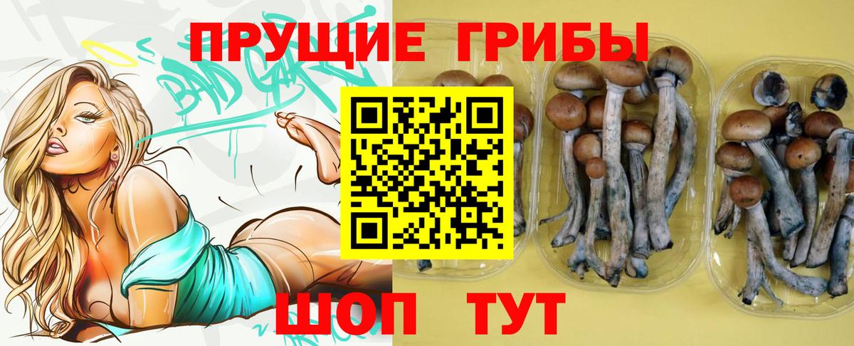 Псилоцибиновые грибы прущие грибы  Псилоцибиновые грибы мицелий  Южноуральск  Вход с VPN 